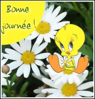 bonne journée a tous