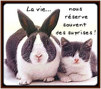 Et oui