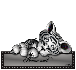 bonne nuit a vous tous