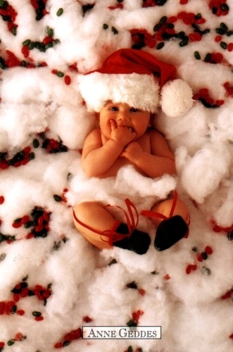 tros beau